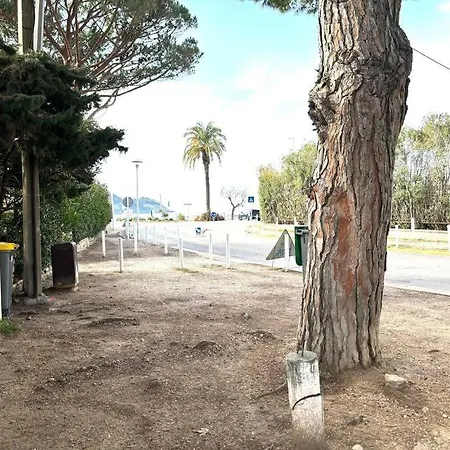 Les Pins Yourhosthelper * سا سيرْ سور مير